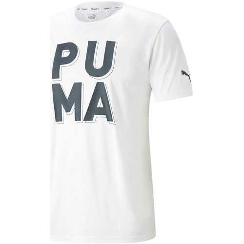 Vêtements Homme T-shirts & Polos Puma 523119-02 Blanc