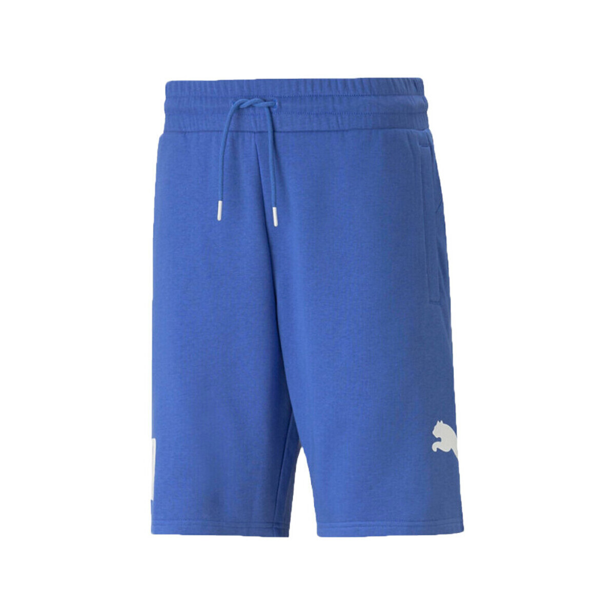 Vêtements Homme Shorts / Bermudas Puma 673379-92 Bleu