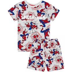 Vêtements Garçon Pyjamas / Chemises de nuit Marvel  Gris