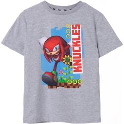 Vêtements Enfant T-shirts manches courtes Sonic The Hedgehog NS7428 Gris