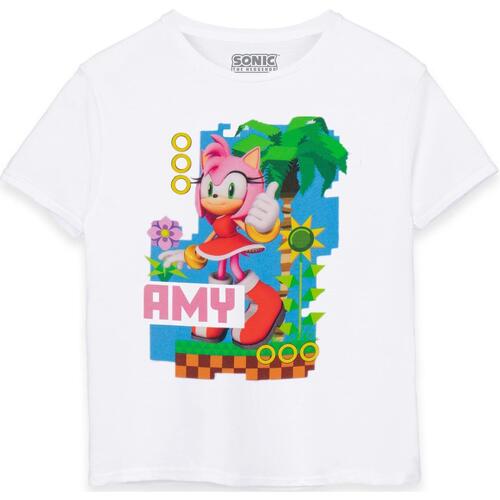 Vêtements Enfant T-shirts manches courtes Sonic The Hedgehog NS7429 Blanc