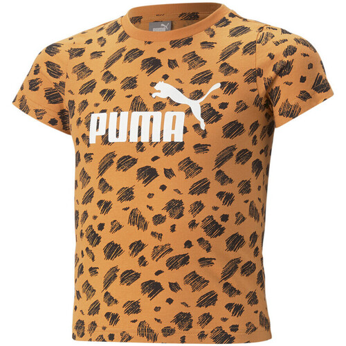 Vêtements Fille T-shirts & Polos Bright Puma 674235-01 Orange
