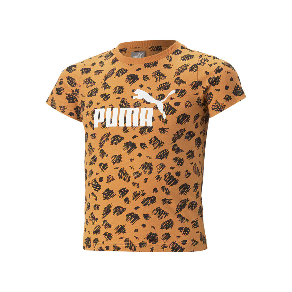 Vêtements Fille T-shirts & Polos Puma 674235-01 Orange