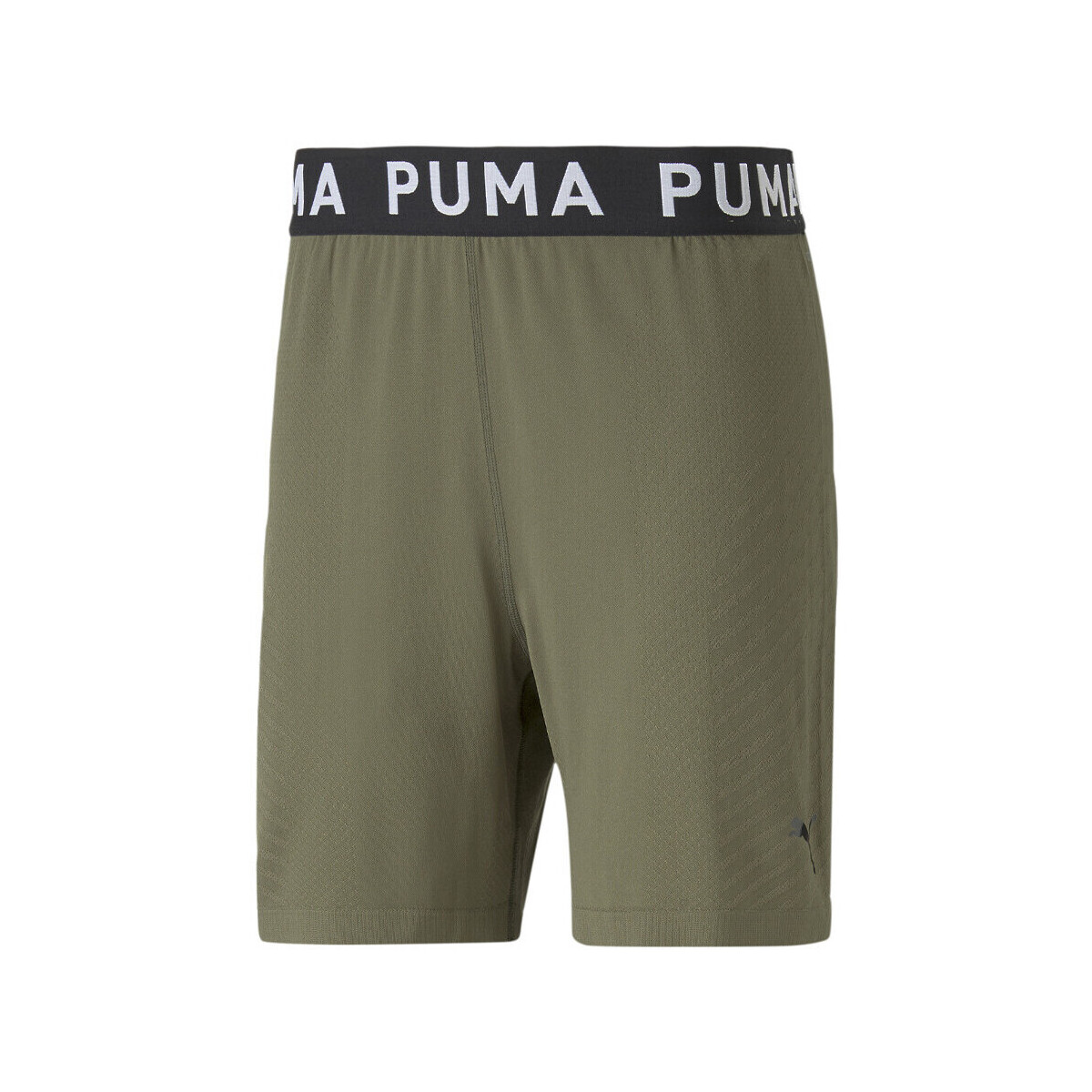 Vêtements Homme Shorts / Bermudas Puma 523509-70 Vert