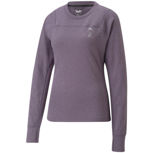Vêtements Femme T-shirts manches longues Puma ray 523228-61 Violet