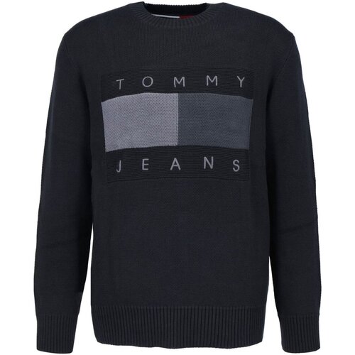 Vêtements Homme Pulls Negro Tommy Jeans DM0DM17773 Noir