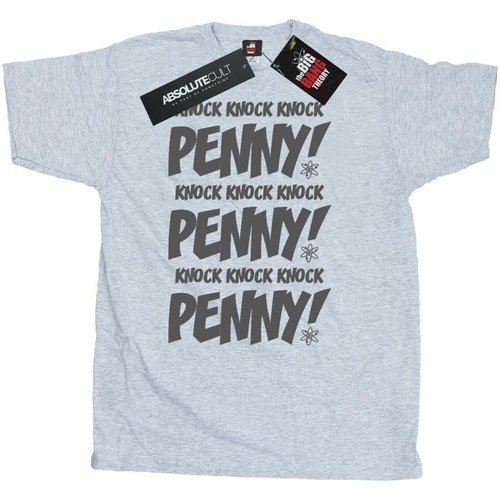 Vêtements Homme T-shirts manches longues The Big Bang Theory Sheldon Knock Knock Penny Gris