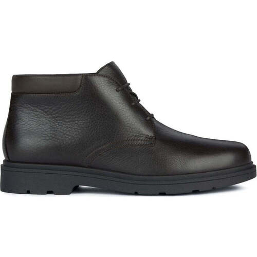 Chaussures Homme Boots Geox spherica ec1 booties coffee Marron