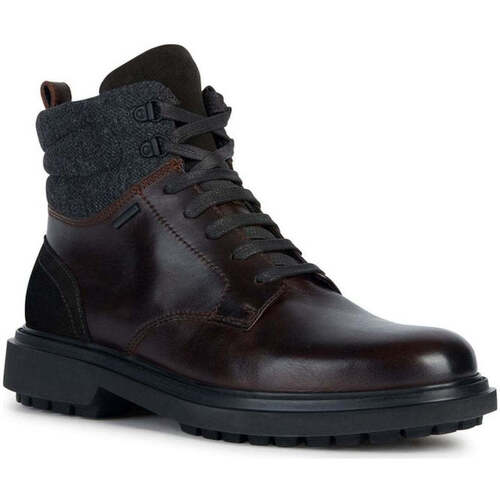 Chaussures Homme Boots Geox faloria abx booties Marron