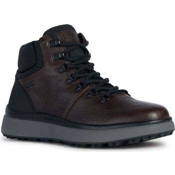 Chaussures Homme Boots Geox granito grip booties Marron