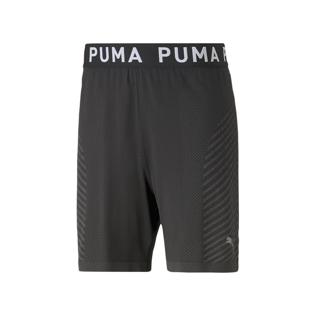 Vêtements Homme Shorts / Bermudas Puma 523509-01 Gris