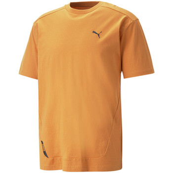 Vêtements Homme T-shirts manches courtes Puma 673316-30 Orange