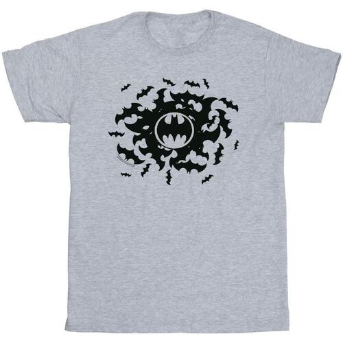 Vêtements Homme T-shirts manches longues Dc Comics Batman Bat Swirl Gris