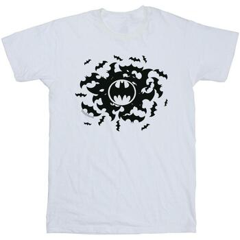 Vêtements Homme T-shirts manches longues Dc Comics Batman Bat Swirl Blanc