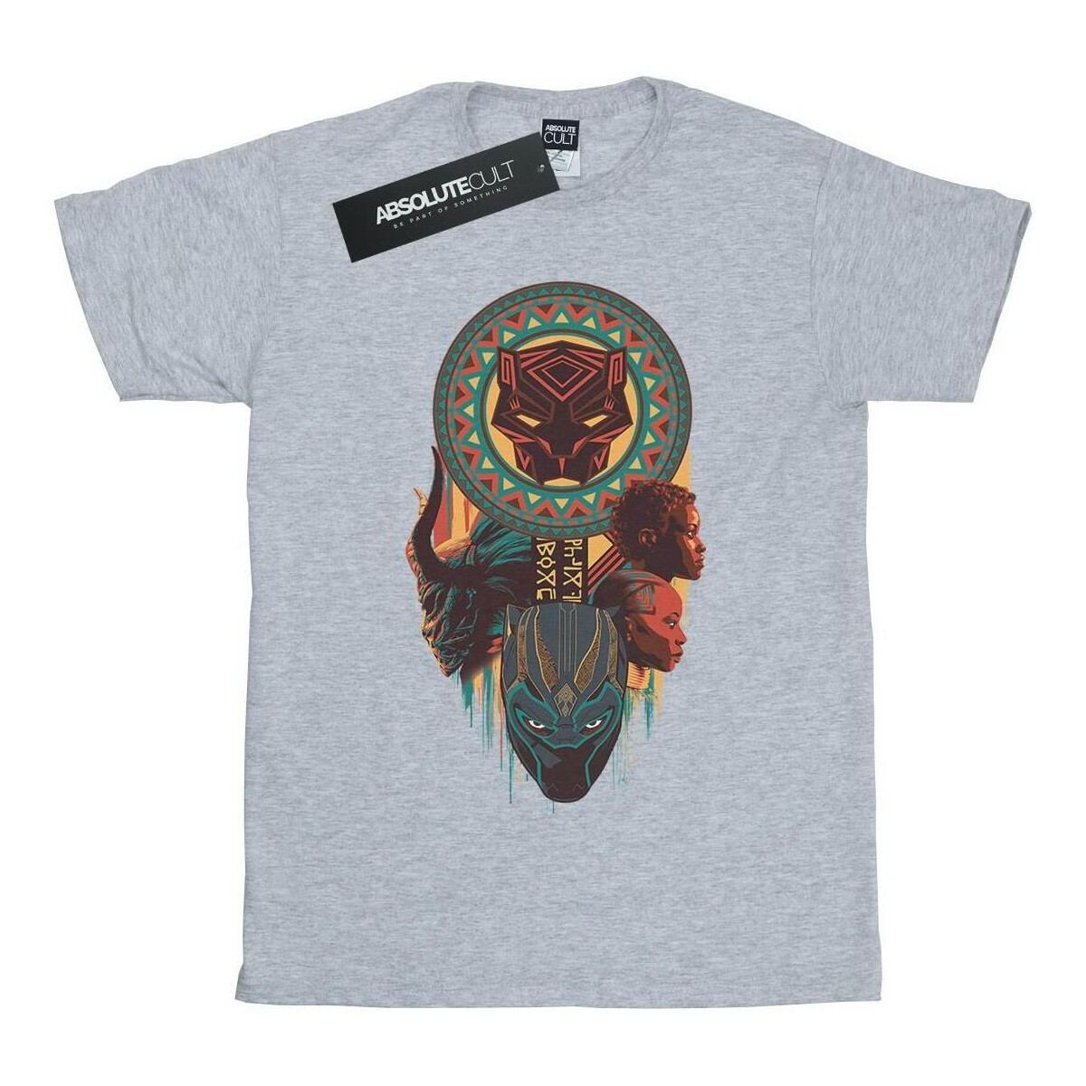 Vêtements Femme T-shirts manches longues Marvel Black Panther Totem Gris