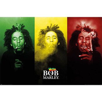 Maison & Déco Affiches / posters Bob Marley TA11363 Multicolore