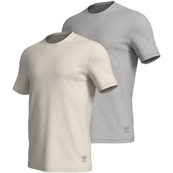 Vêtements Homme T-shirts manches courtes adidas Originals Lot de 2 tee-shirts col rond homme Sustainable Gris