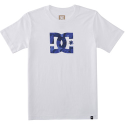 Vêtements Garçon T-shirts manches courtes DC low-top SHOES DC Star Blanc