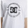 Vêtements Homme T-shirts manches courtes DC Shoes DC Star Pilot Blanc