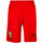 Vêtements Homme Shorts / Bermudas Puma 771091-02 Rouge