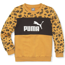 Vêtements Garçon Sweats Puma 673347-30 Orange
