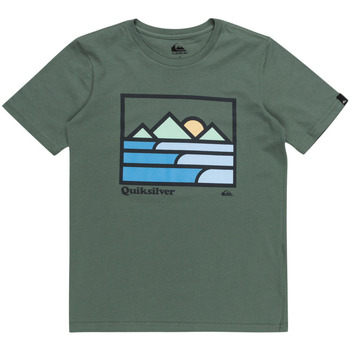 Vêtements Garçon Débardeurs / T-shirts sans manche Quiksilver Landscape Lines Vert