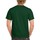 Vêtements Homme T-shirts manches longues Gildan Hammer H000 Vert