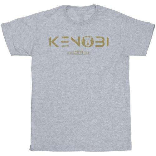 Vêtements Homme T-shirts manches longues Disney Obi-Wan Kenobi Logo Gris