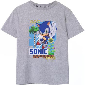 Vêtements Enfant T-shirts manches courtes Sonic The Hedgehog NS7484 Gris