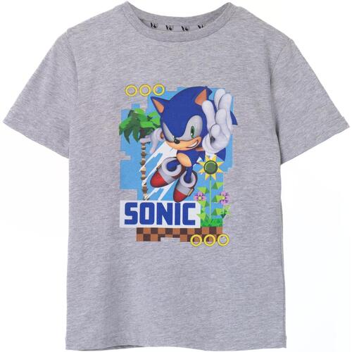 Vêtements Enfant T-shirts & Polos Sonic The Hedgehog NS7484 Gris