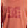 Vêtements Homme T-shirts manches courtes DC Shoes DC Star Rose