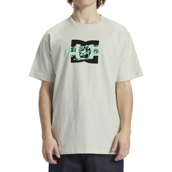 Vêtements Homme T-shirts manches courtes DC Shoes sustainable Flyer Blanc
