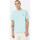 Vêtements Homme T-shirts & Polos Dickies Ss mapleton tee Bleu