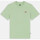 Vêtements Femme T-shirts & Polos Dickies Mapleton ss tee Vert