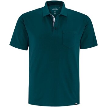 Vêtements Homme T-shirts & Polos Schneider Sportswear  Vert