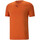 Vêtements Homme T-shirts manches courtes Puma 523506-23 Orange