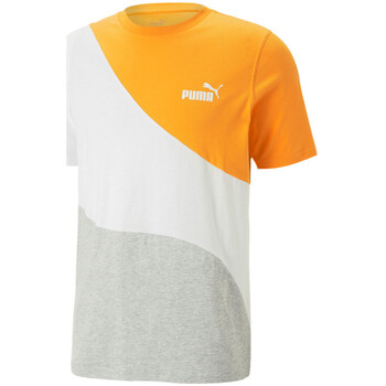 Vêtements Homme T-shirts manches courtes track Puma 673380-46 Gris