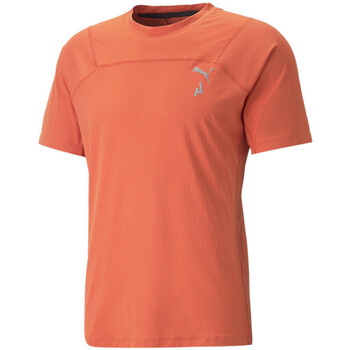 Vêtements Homme T-shirts manches courtes Puma 523256-94 Orange