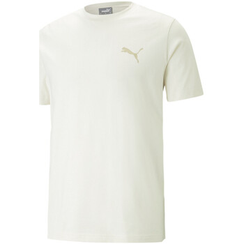 Vêtements Homme T-shirts manches courtes Puma 673296-99 Beige