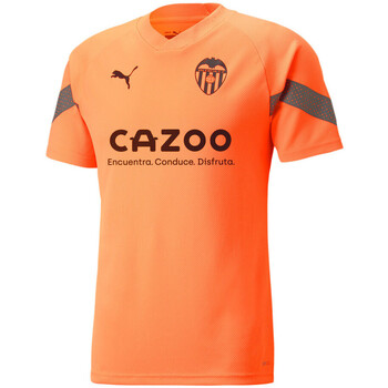 Vêtements Homme T-shirts & Polos Puma 767175-04 Orange