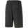 Vêtements Homme Shorts / Bermudas Puma 538444-01 Noir