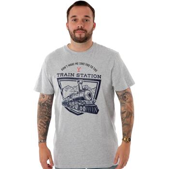Vêtements Homme T-shirts manches courtes Yellowstone Train Station Gris