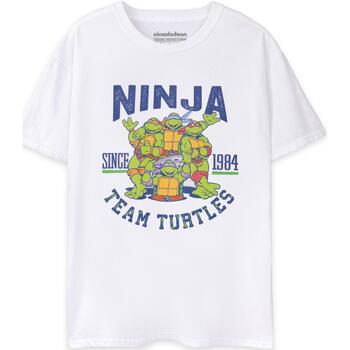 Vêtements Homme T-shirts manches courtes Teenage Mutant Ninja Turtles 1984 Blanc