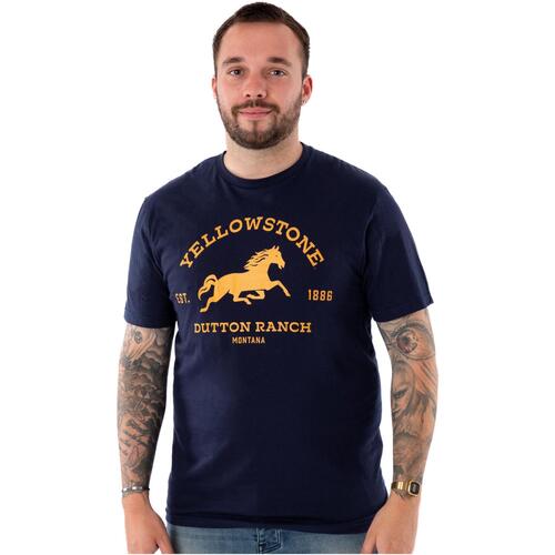 Vêtements Homme T-shirts manches courtes Yellowstone  Bleu