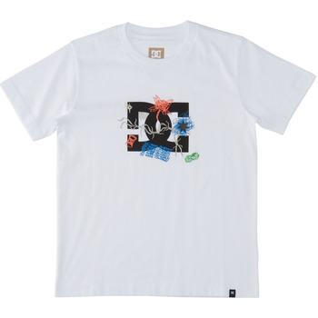 Vêtements Garçon T-shirts manches courtes DC SHOES black-chrome Scribble Blanc
