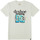 Vêtements Homme T-shirts manches courtes DC Shoes Overspray Blanc