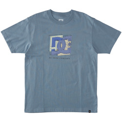 Vêtements Homme T-shirts manches courtes DC Shoes React Fine Art Bleu