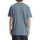 Vêtements Homme T-shirts manches courtes DC Shoes Fine Art Bleu