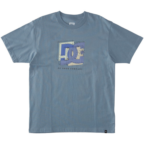 Vêtements Homme T-shirts manches courtes DC Shoes Fine Art Bleu