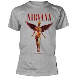 Vêtements T-shirts manches longues Nirvana  Gris